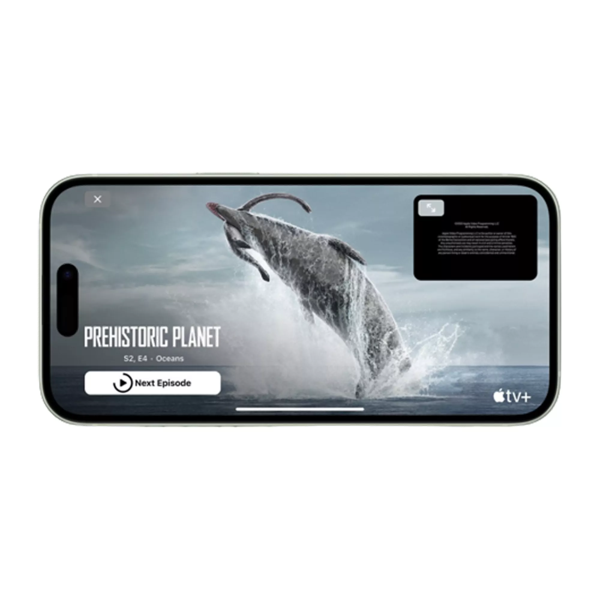 Apple iPhone 15 128GB Black, TRA Version - Image 5